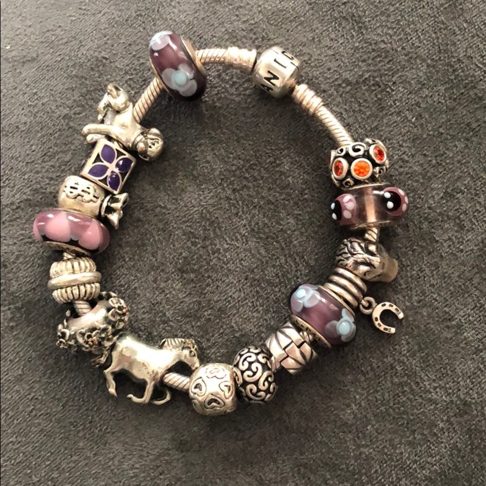 Pandora Bracelet